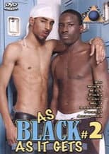Poster for As Black as It Gets 2
