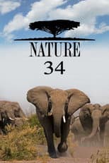 Poster for Season 34