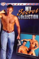 Poster for My Secret Collection