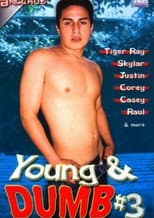Poster for Young & Dumb 3
