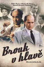 Poster for Brouk v hlavě