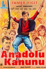 Poster for Anadolu Kanunu