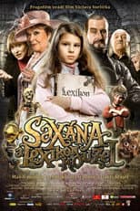Poster for Little Witch on a Broomstick