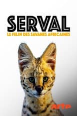 Poster for Servale - Afrikas unbekannte Katzen