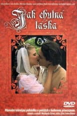 Poster for Jak chutná láska