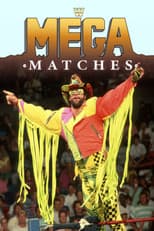 Poster for WWE Mega Matches