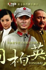 Poster for 桐柏英雄