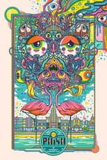 Poster for Phish 2014-12-31 American Airlines Arena, Miama, FL