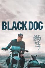 Poster for Black Dog