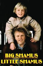 Poster for Big Shamus, Little Shamus