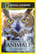 Poster for Owls: Silent Hunters