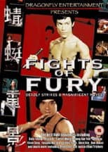 Poster for Fights of Fury