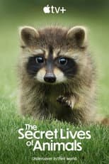 Poster for The Secret Lives of Animals