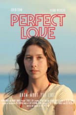 Poster for Perfect Love