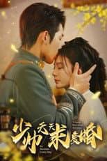 Poster for 少帅天天求复婚