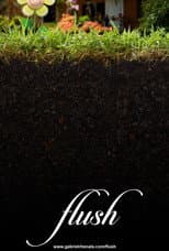 Poster for Flush