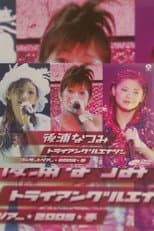 Poster for Nochiura Natsumi 2005 Spring "Triangular Energy"