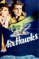 Poster for Air Hawks