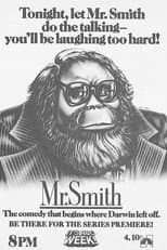 Poster for Mr. Smith