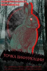 Poster for Point Of Bifurcation