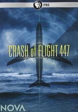 Poster for Crash of Flight 447