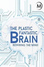Poster for Plastic Fantastic Brain