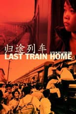 Poster for Last Train Home