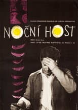 Poster for The Night Guest
