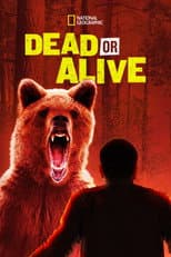 Poster for Dead or Alive