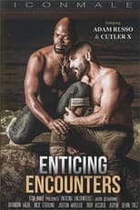 Poster for Enticing Encounters