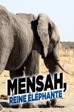 Poster for Elephant Queen
