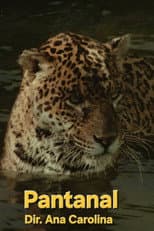 Poster for Pantanal