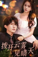 Poster for 拨开云雾见晴天