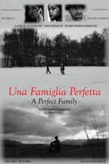 Poster for A Perfect Family