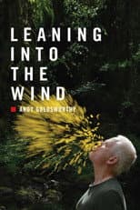 Poster for Leaning Into the Wind: Andy Goldsworthy