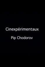 Poster for Cinexpérimentaux #4: Pip Chodorov