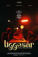 Poster for Liggesår