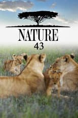 Poster for Season 43