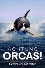 Poster for Watch Out for Orcas! Danger Off Gibraltar?