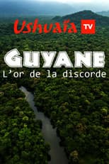 Poster for Guyane : L'or de la discorde