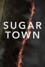 Poster for Sugar Town