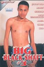 Poster for Big Black Shaft 3