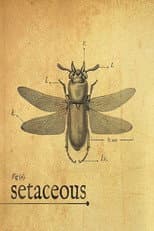 Poster for Setaceous
