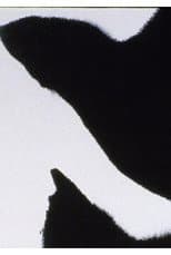 Poster for Errata