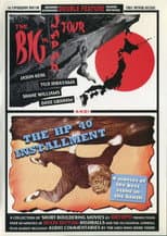 Poster for The Big In Japan Tour & The HP 40 Installment