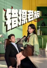 Poster for 错撩老板