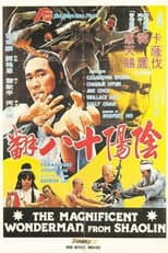 Poster for Magnificent Wonderman