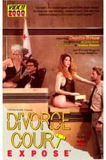Poster for Divorce Court Expose