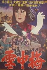 Poster for Snow Plum Blossom