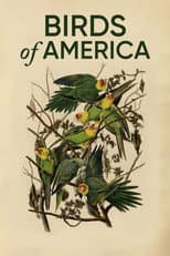 Poster for Birds of America